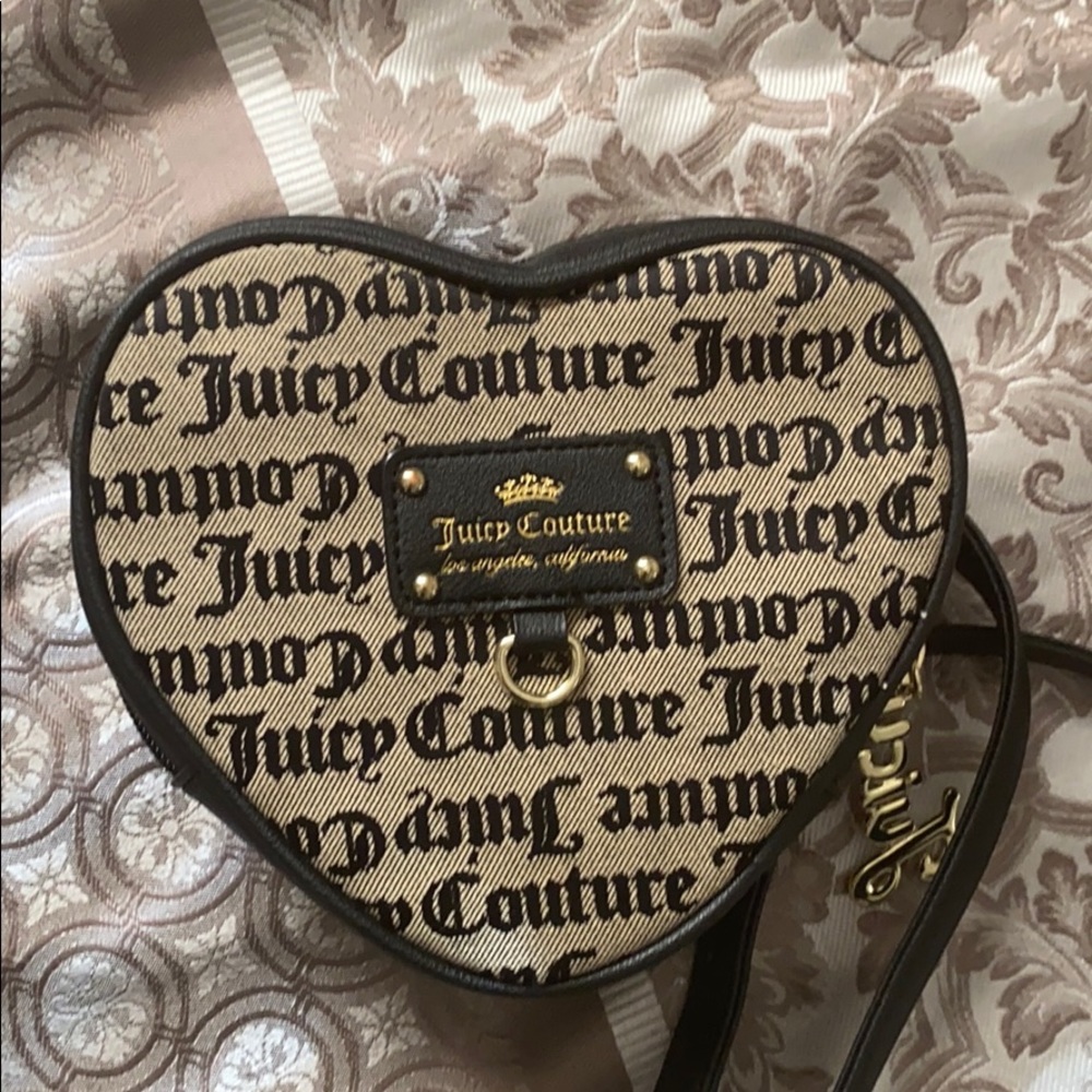 Juicy Couture Purse